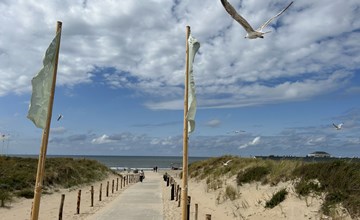 6-persoons vakantiehuis in Noordwijk - de Witte Raaf 2