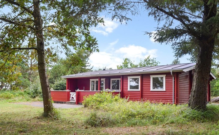 "Odsten" - 1km from the sea in Western Jutland 1