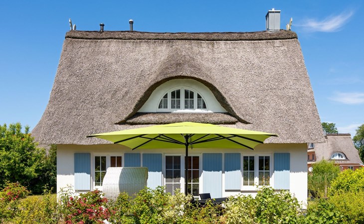 Marvin in Beckerwitz 1