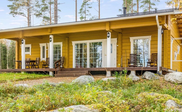 I moved the honey palm 1