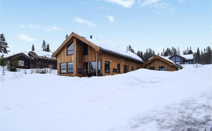 Awesome home in Rauland with sauna 1