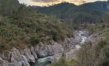 Migone de Sampolo (GHI306) 3