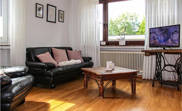 Pet friendly apartment 3