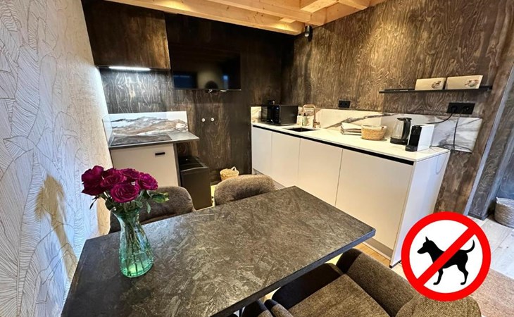 2- tot 4-persoons Loft in Schoorl aan de Duinvoet 1