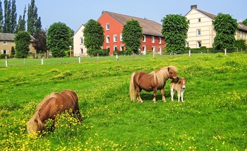 Bungalowpark Landsrade 3