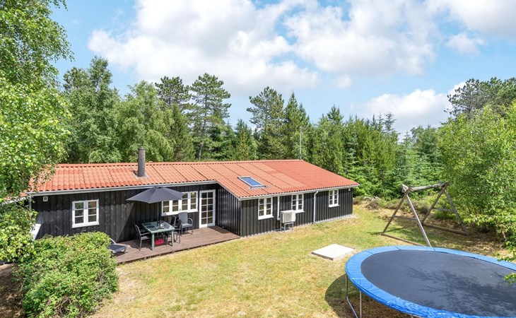 "Granke" - 3,8 km van de zee in West-Jutland 1