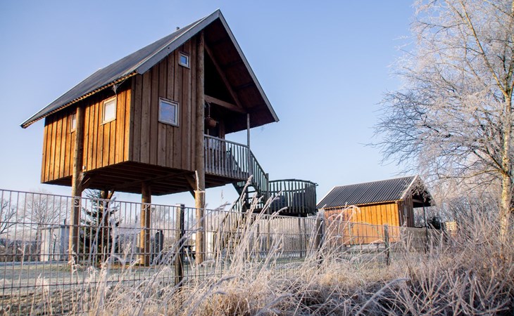 Boomhut I 5 personen 1