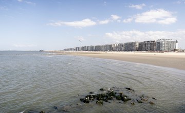 White Mountains Retreats 3