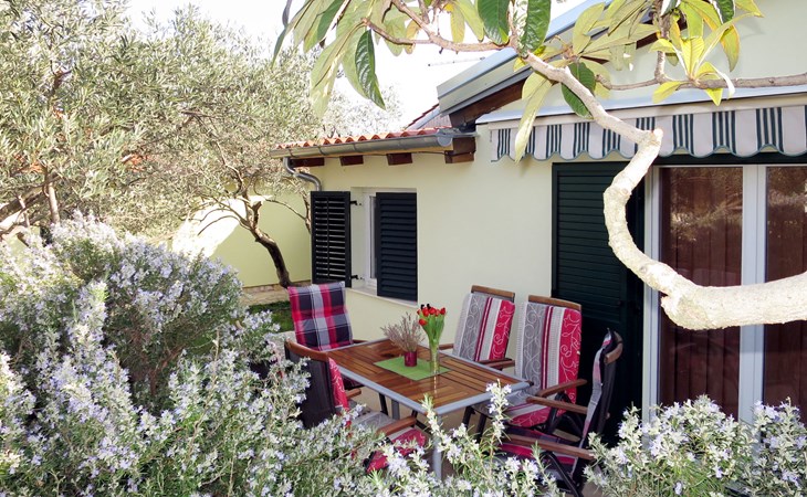 Kamp Marko (ROZ338) 1