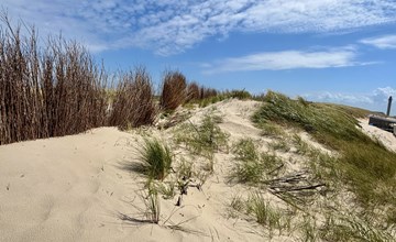 Gemütliche Ferienwohnung Westkapelle mit Terrasse 2