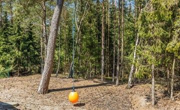 "Arndis" - 600m from the sea in Bornholm 3