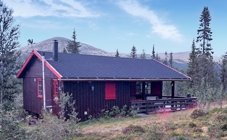 3 bedroom beautiful home in Tynset 1