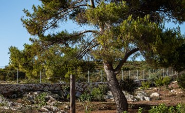 Terra Lucis Berg-Residenzen - Anima Villa 3