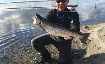 "Ady" - 150 meter van de zee in Zuidoost-Jutland 3