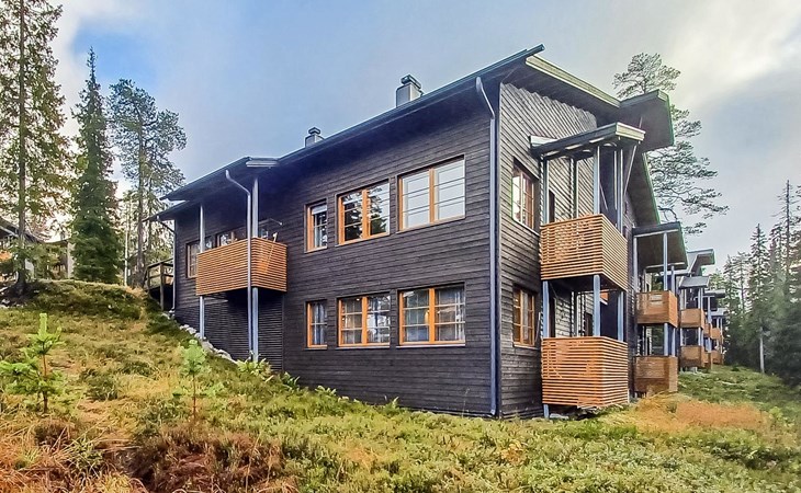 Der Jubel des Bärenwächters c 2 1