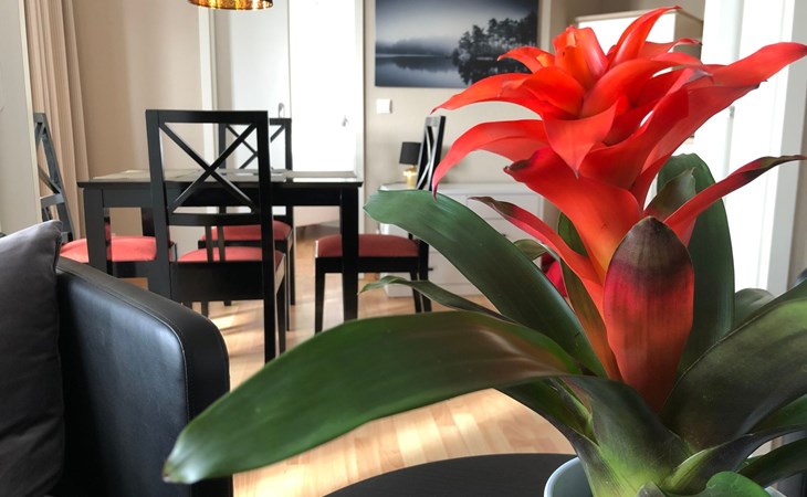 Dat Mitteltste 445 1