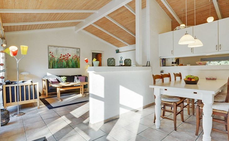 "Reinbald" - 1km from the sea in Western Jutland 1