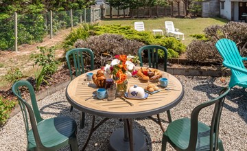 The Seagulls (HSM401) 2