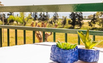 Studio mit Korallenblick in Chianchitta-Pallio 2