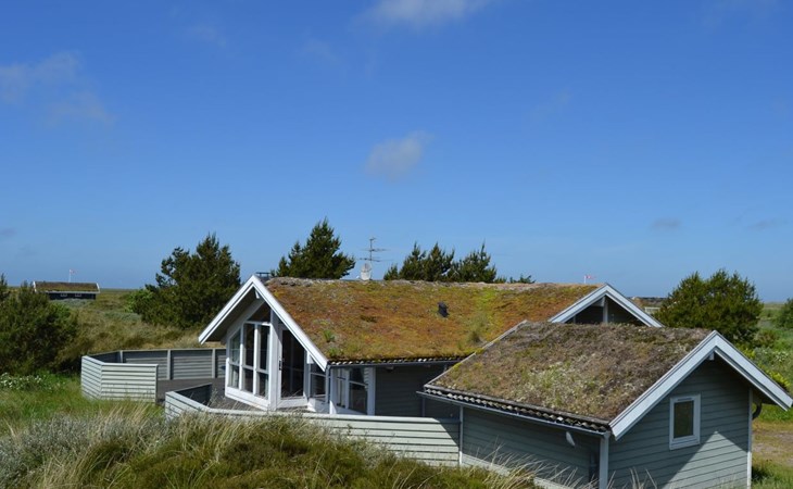 "Bruna" - 2 km van de zee in West-Jutland 1