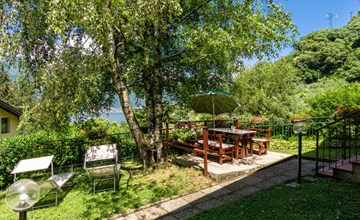 In the chestnut grove 2