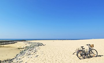 Residence Lagocean (VIB303) 2