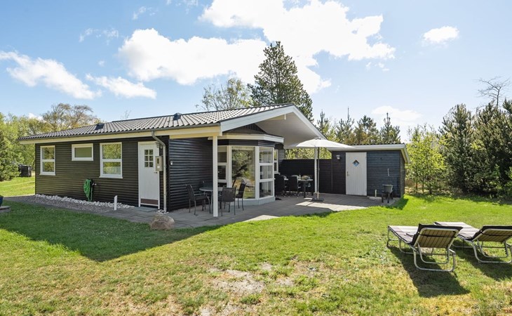 "Bogatin" - 1km from the sea in Western Jutland 1