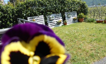 Casa Padronale nähe Arco 3