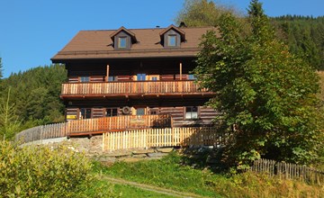 Berghof Turrach in Turrach 2