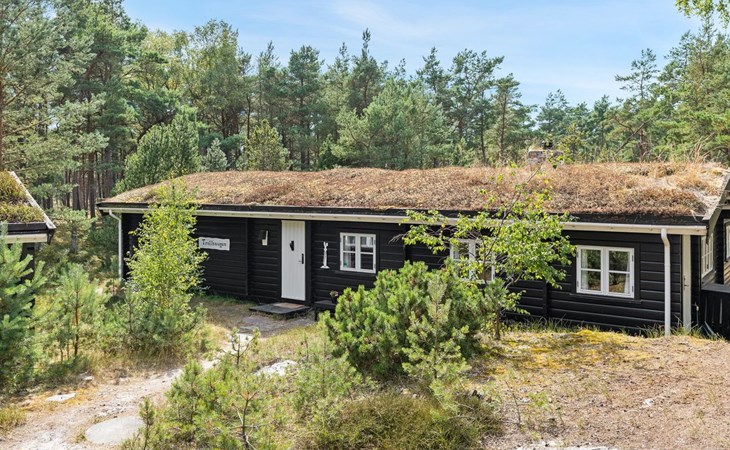 „Solfred“ – 200 m vom Meer entfernt in Bornholm 1