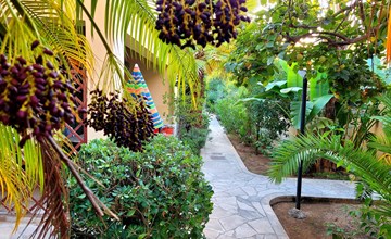 Schöner Bungalow direkt am Sandstrand auf Sizilien 3