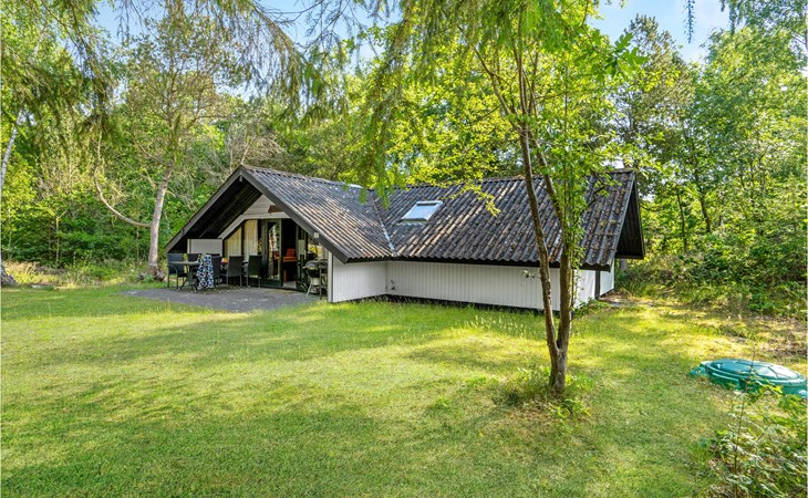 3 bedroom awesome home in Hadsund 1