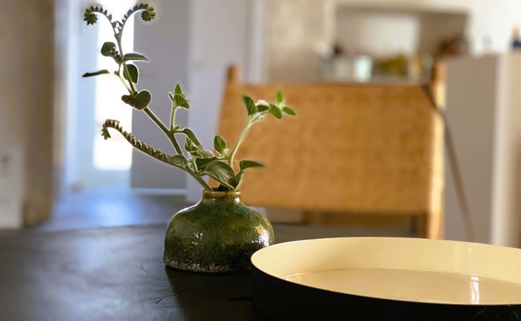 Ferienvilla "Villa Stamata" mit Pool und Garten 1