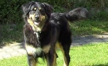 Schlossberg mit WLAN 3