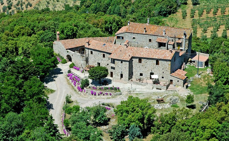 Mimosa - Borgo la Civitella 1