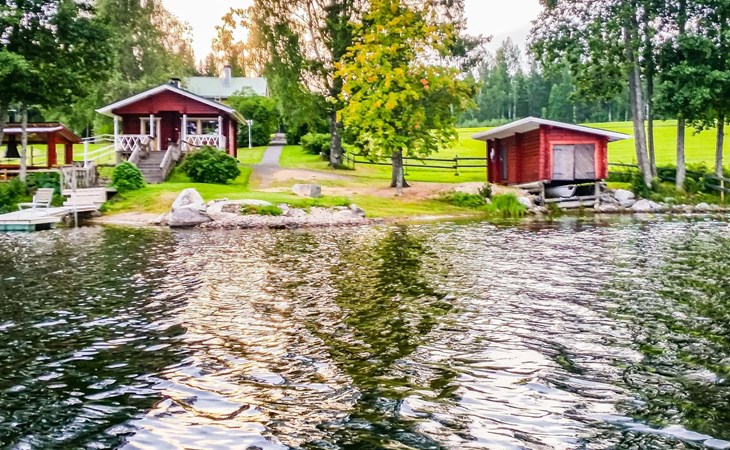 De oude karminranta 1