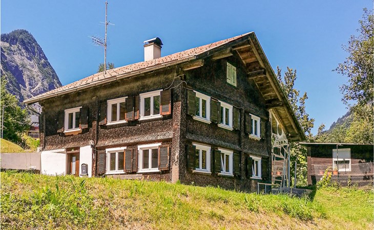 großes Ferienhaus Dalaas 1