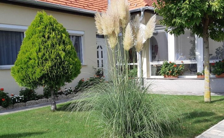 in Bük im Parterre mit Garten 1