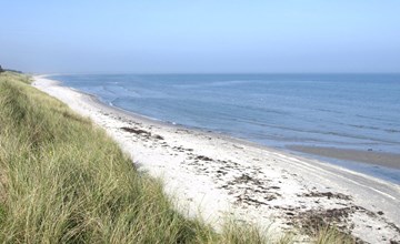 "Jonce" - 400m from the sea in NE Jutland 2