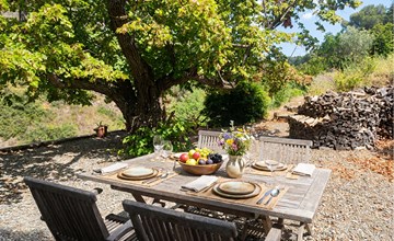 3 bedroom beautiful home in Roquebrun 3
