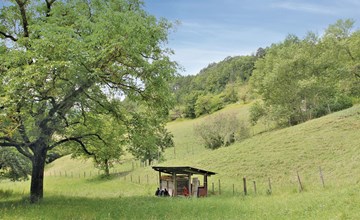 GÎTE DU JOCOU 3