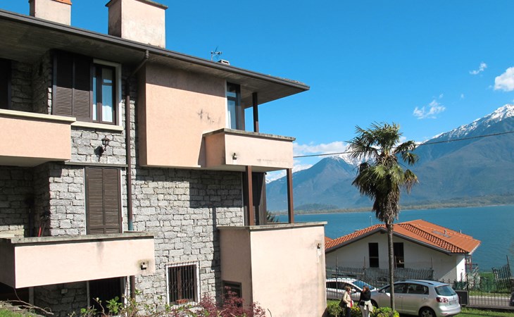 Groene wilg (GLA131) 1