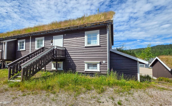 Gorgeous apartment in Drangedal 1
