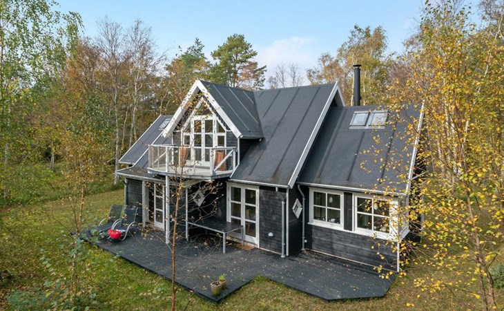 "Henni" - 2,5 km van de zee in NO Jutland 1