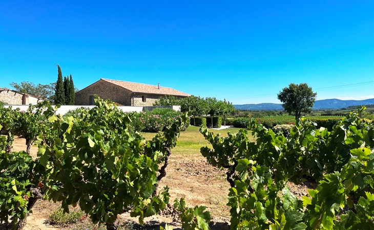 Domaine la Vigne - luxe gîtes in de wijnregio Minervois 1