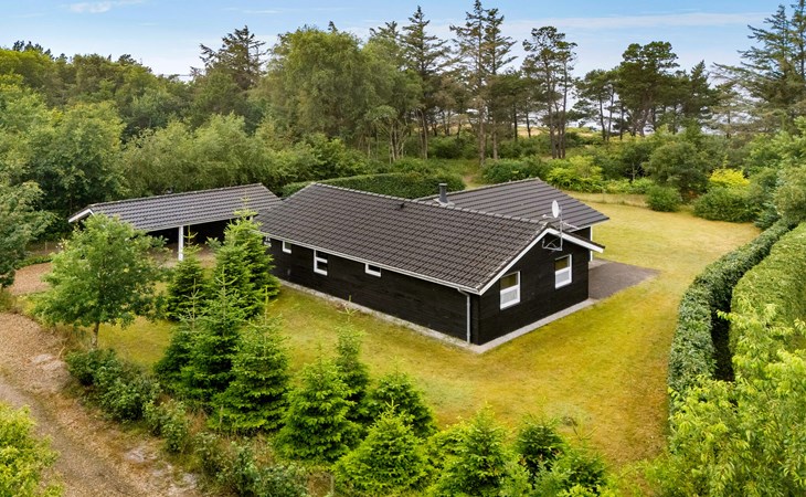 3 bedroom awesome home in Tarm 1