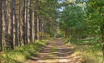 "Beatrix" - 700m from the sea in NE Jutland 3