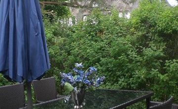 Appartement Achtern-Diek-am-Strand in Zingst 2