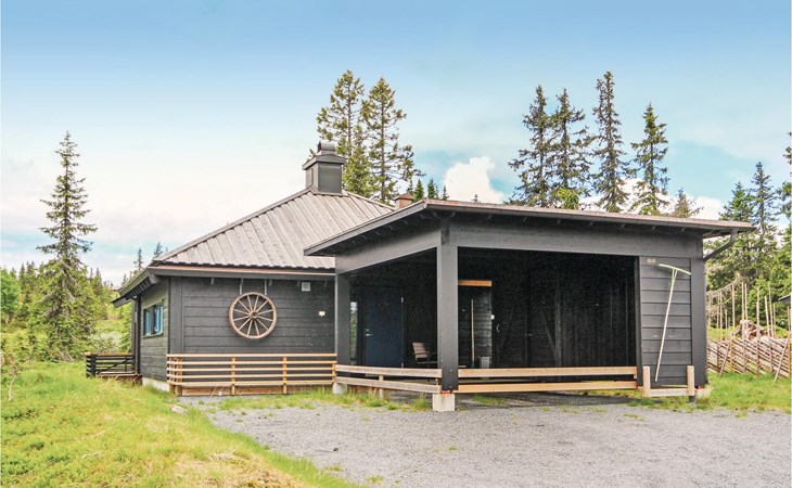 3 bedroom stunning home in Sjusjøen 1
