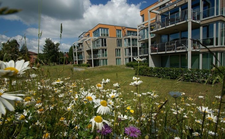 in Alt Travemünde 1